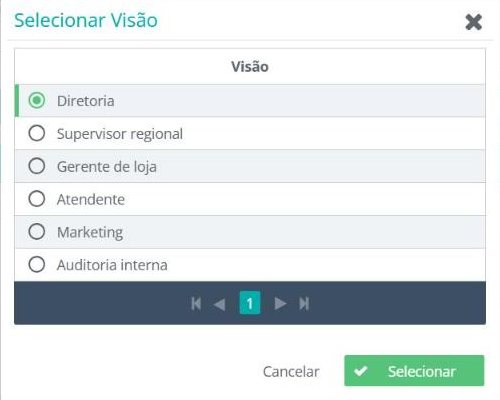 Seleção de visão na SULTS com os perfis Diretoria, Supervisor regional, Gerente de loja, Atendente, Marketing e Auditoria interna