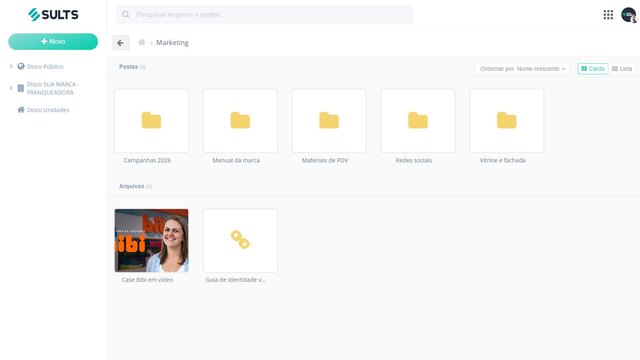 Disco Virtual do SULTS com pastas organizadas por área, vídeos e links